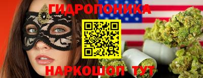 apvp Кинель