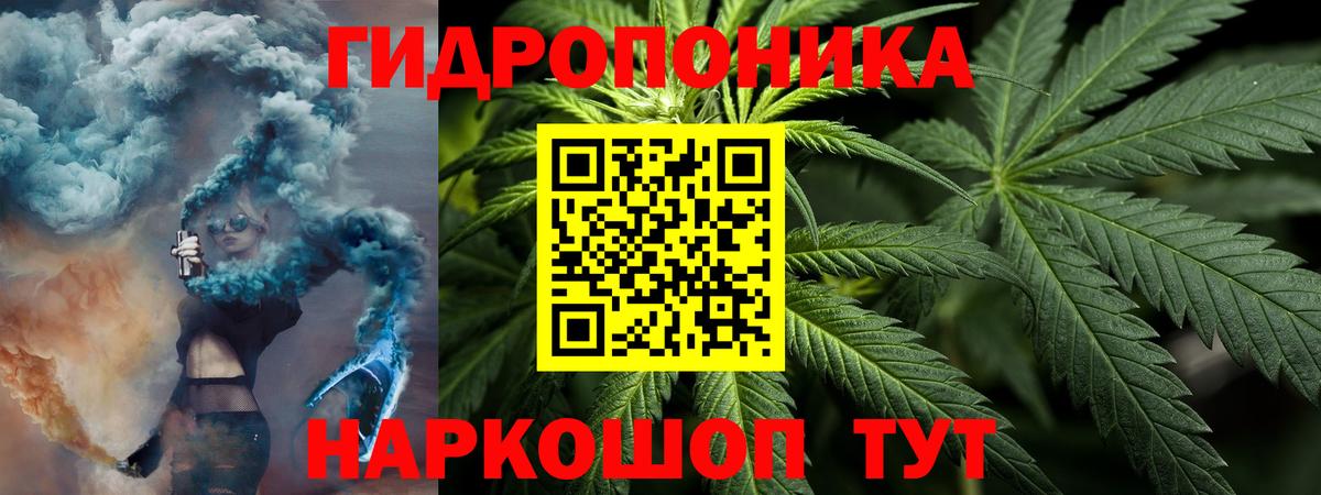 Бошки Шишки планчик  Конопля марихуана  Марихуана гибрид  Вход с VPN  Качканар  Марихуана AK-47 